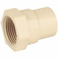 Conector cuerda interna CPVC 1 1/4"